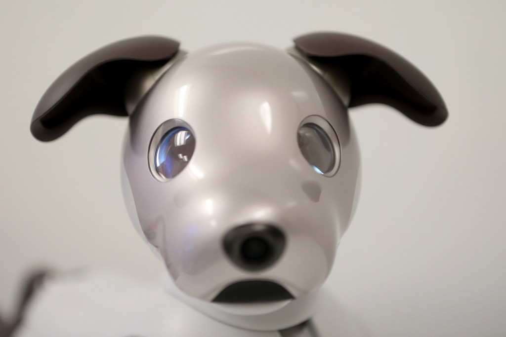 Sony’s aibo robotic dog can sit, fetch and learn what its owner likes