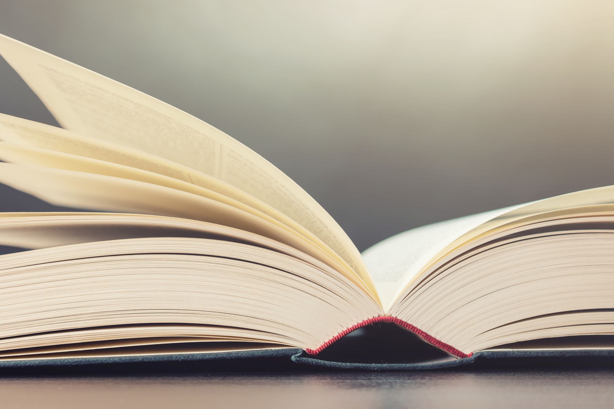 19 Books to Read to Be Successful in 2019