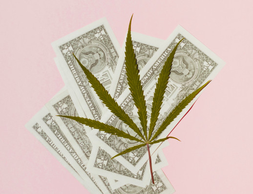 Startups Weekly: Venture capitalists are crazy for cannabis