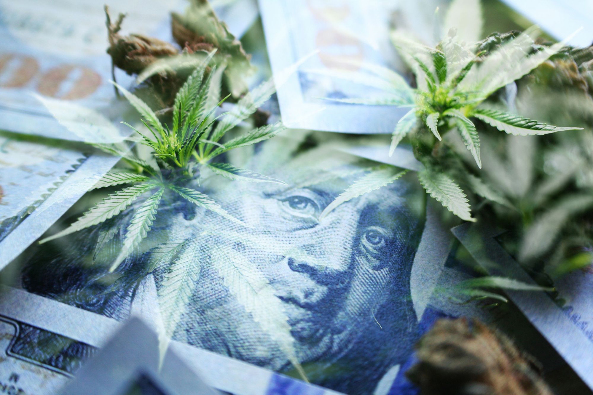5 Things Every Cannabis Entrepreneur Must Know About Raising Money
