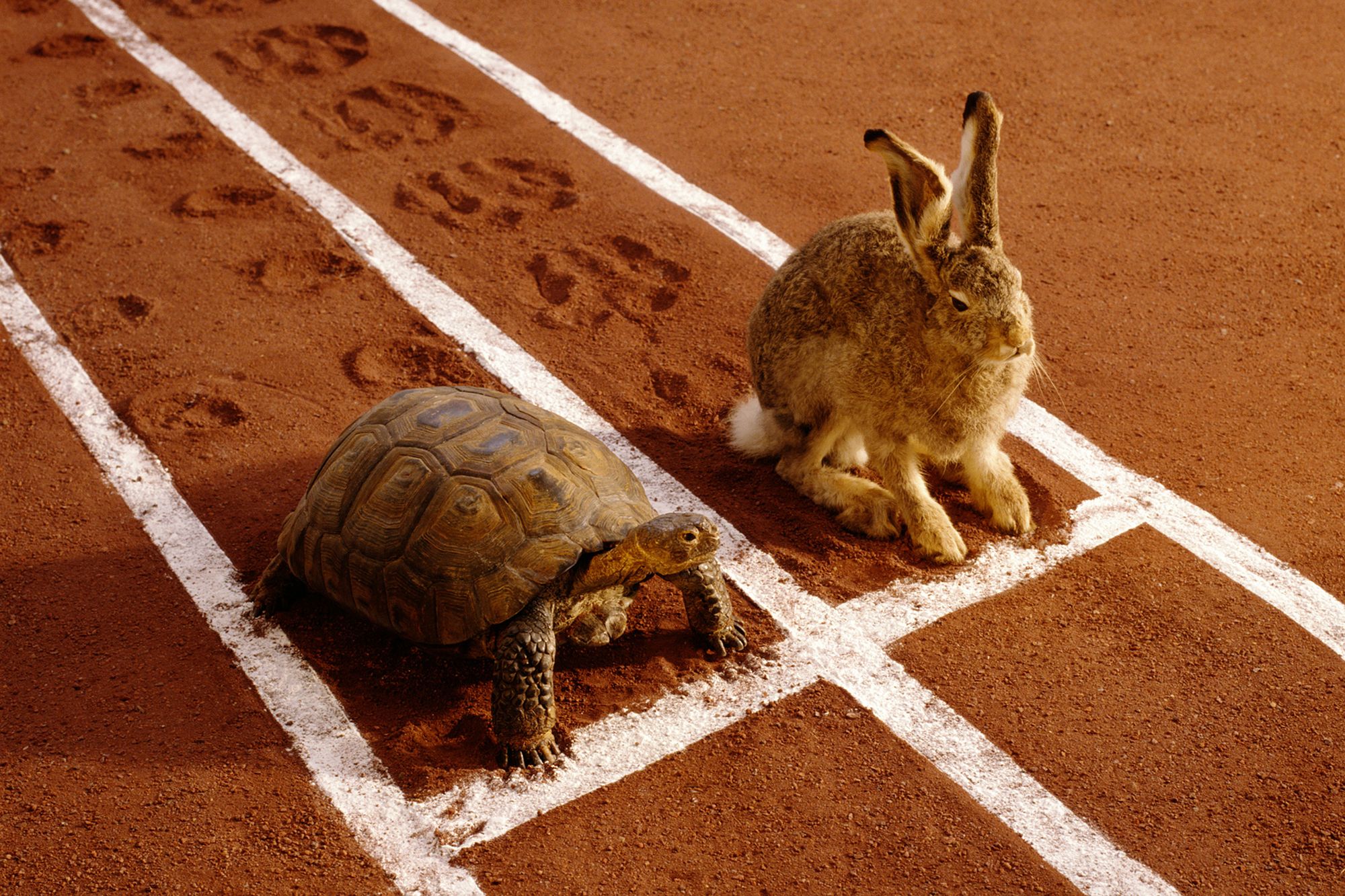 Slow Down! Why Starting Slow Is the Right Speed for Business Success