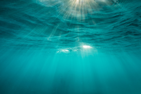 Ocean Solutions Accelerator’s third wave tackles a new set of aquatic challenges