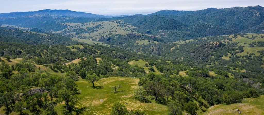 East Bay water district may have missed opportunity to buy 50,000-acre ranch