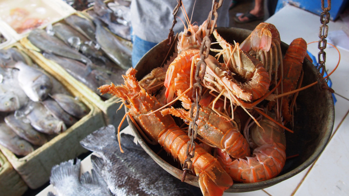 Indonesia “sea-to-table” platform Aruna hooks $35M led by Prosus and East Ventures Growth Fund