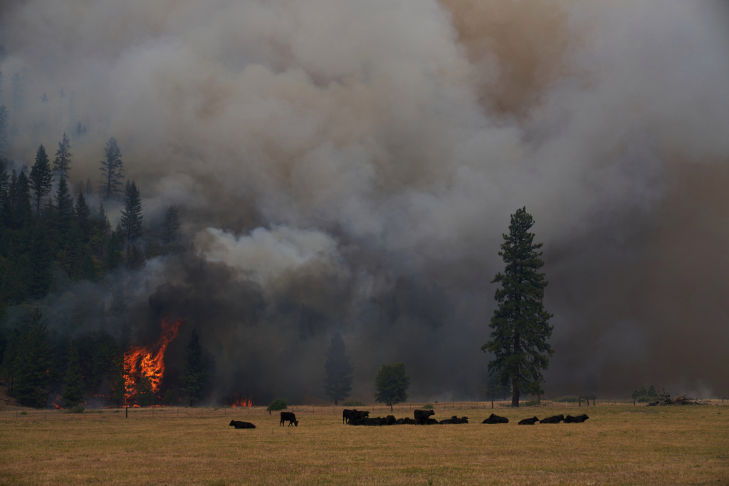 Walters: Wildfires ignite California insurance crisis
