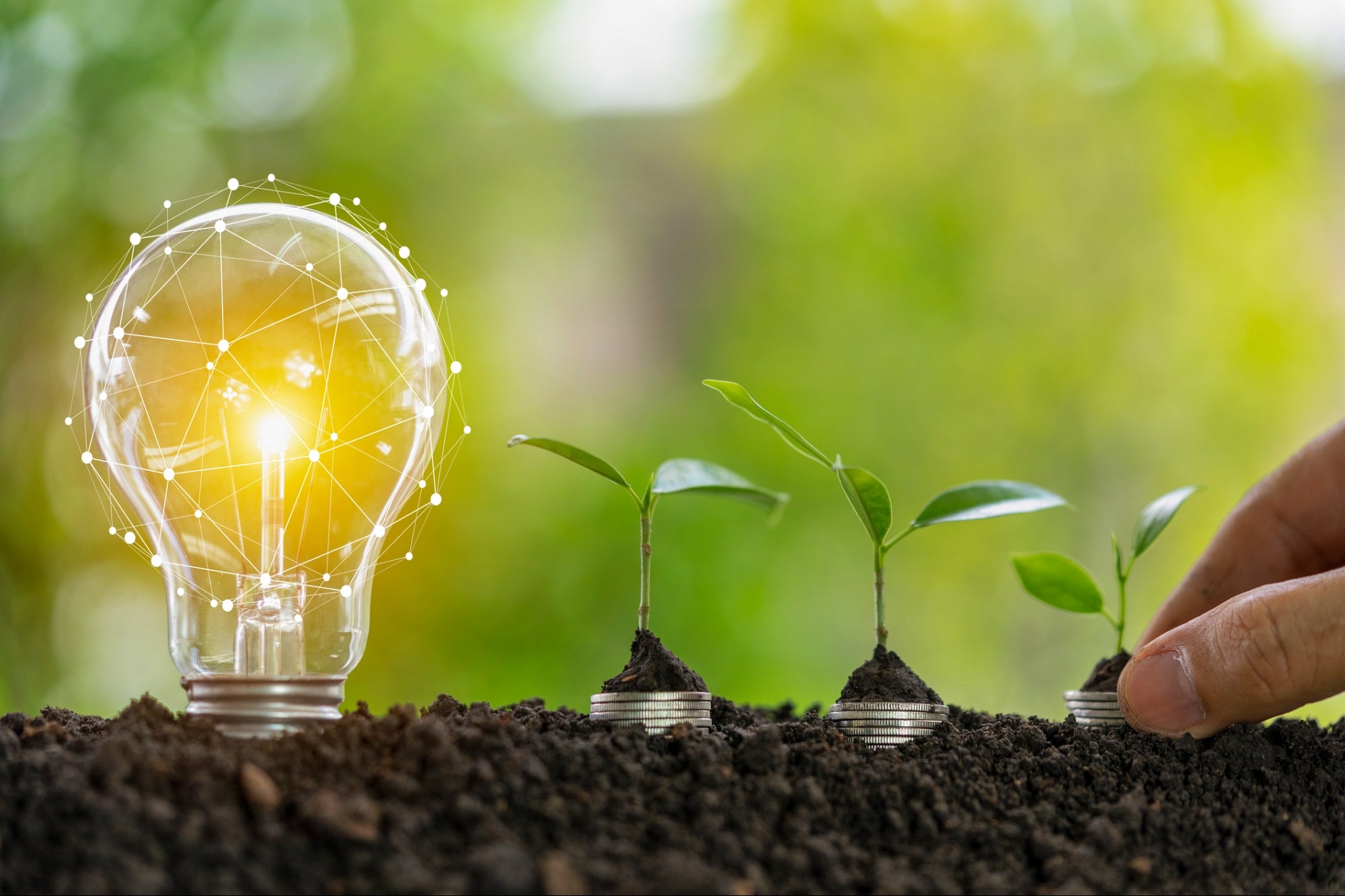 How to Get Funding and Grants for Green Startups
