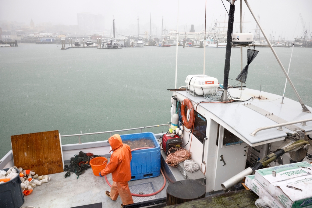 Slow start to crab season means local Dungeness will be hard to find this New Year’s weekend