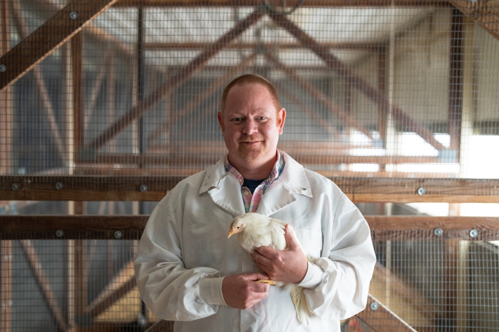 Why there aren’t enough eggs in California: Poultry expert Richard Blatchford