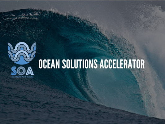 Ocean Solutions Accelerator names its first wave of conservation startups