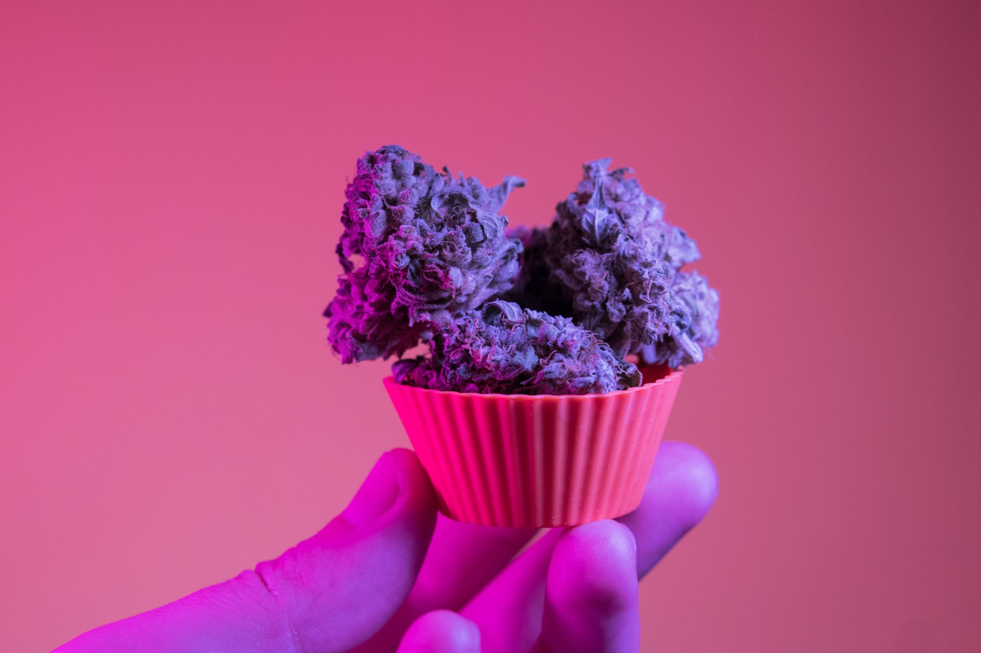 3 Ways Cannabis Brands Can Make a Powerful First Impression