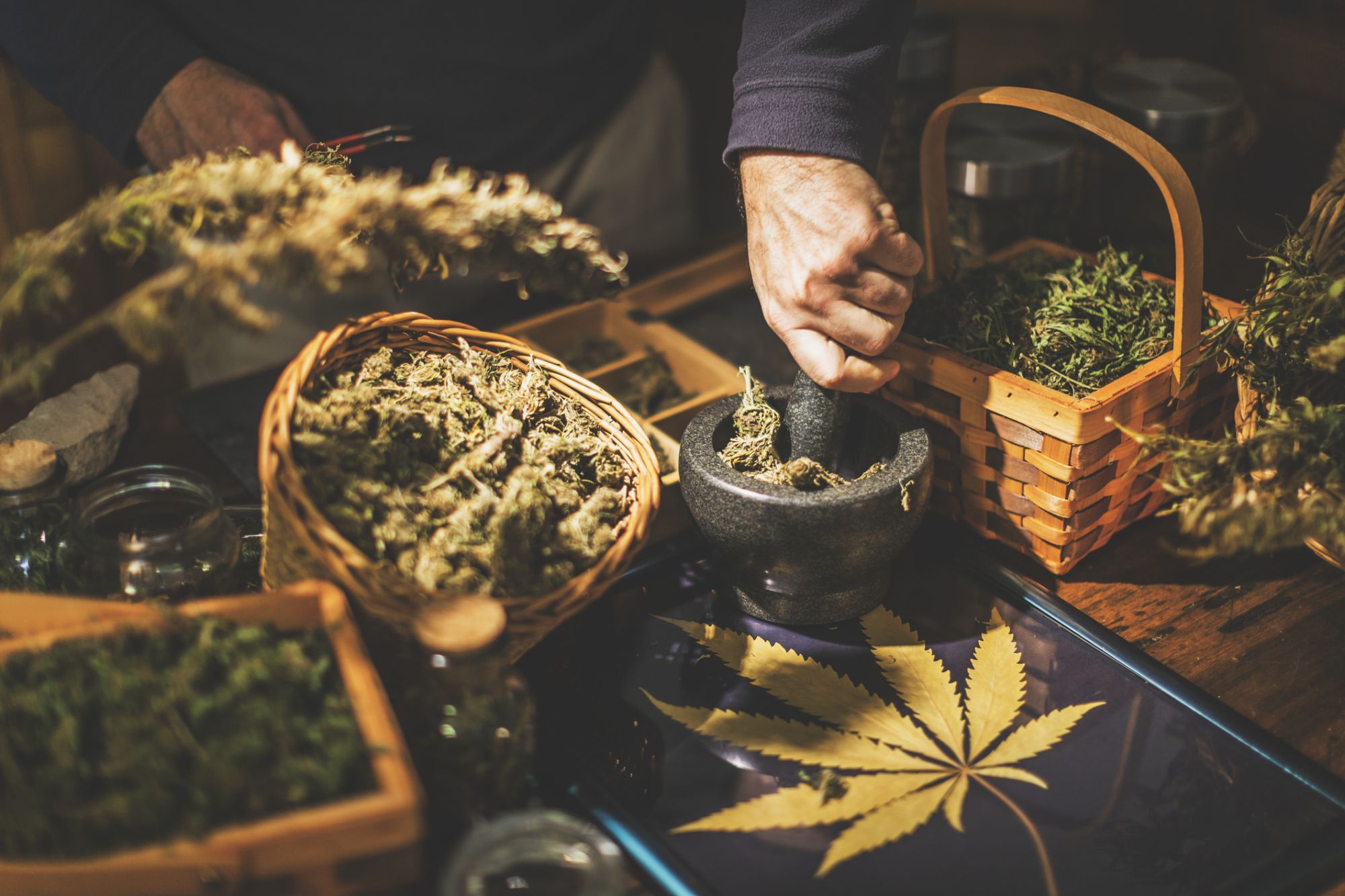 5 Things You Should Know Before Starting Up Your Cannabusiness
