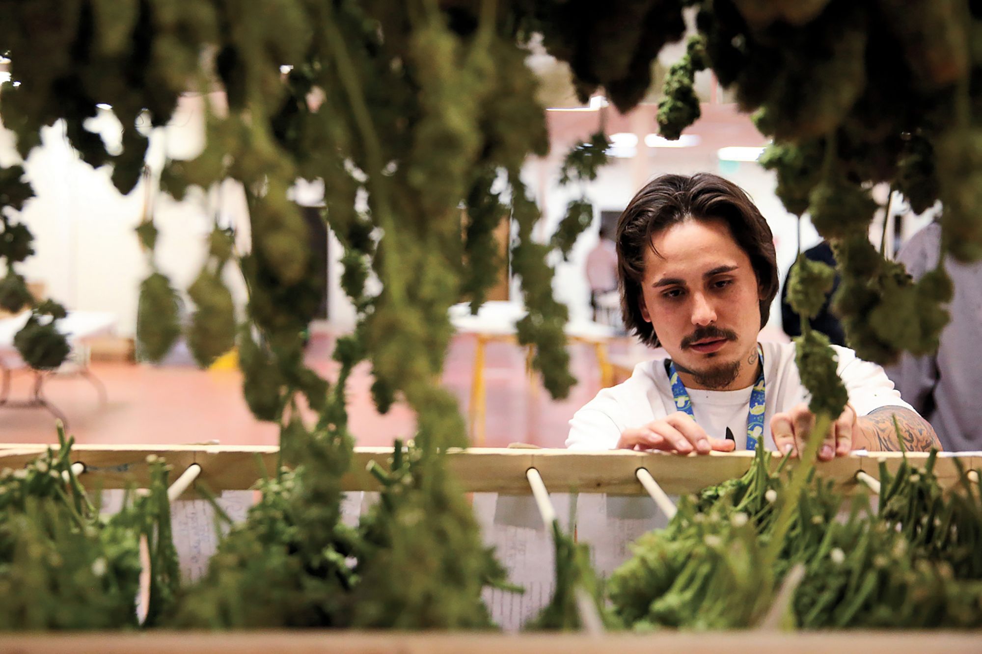How Cannabis Entrepreneurs Can Explain What They Do For A Living — Without Freaking People Out