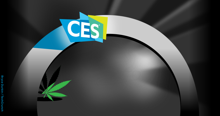CES takes half-baked stance on cannabis
