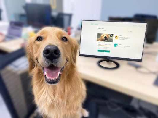 Hong Kong insurtech startup OneDegree launches its first product, medical coverage for pets