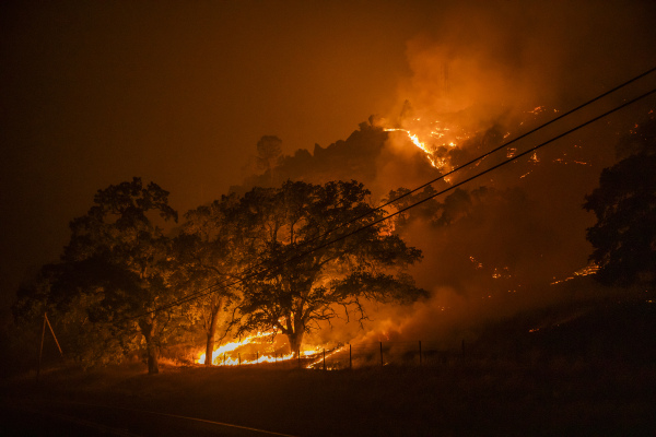 Gridware is building early-detection sensors for power grid failures and wildfires