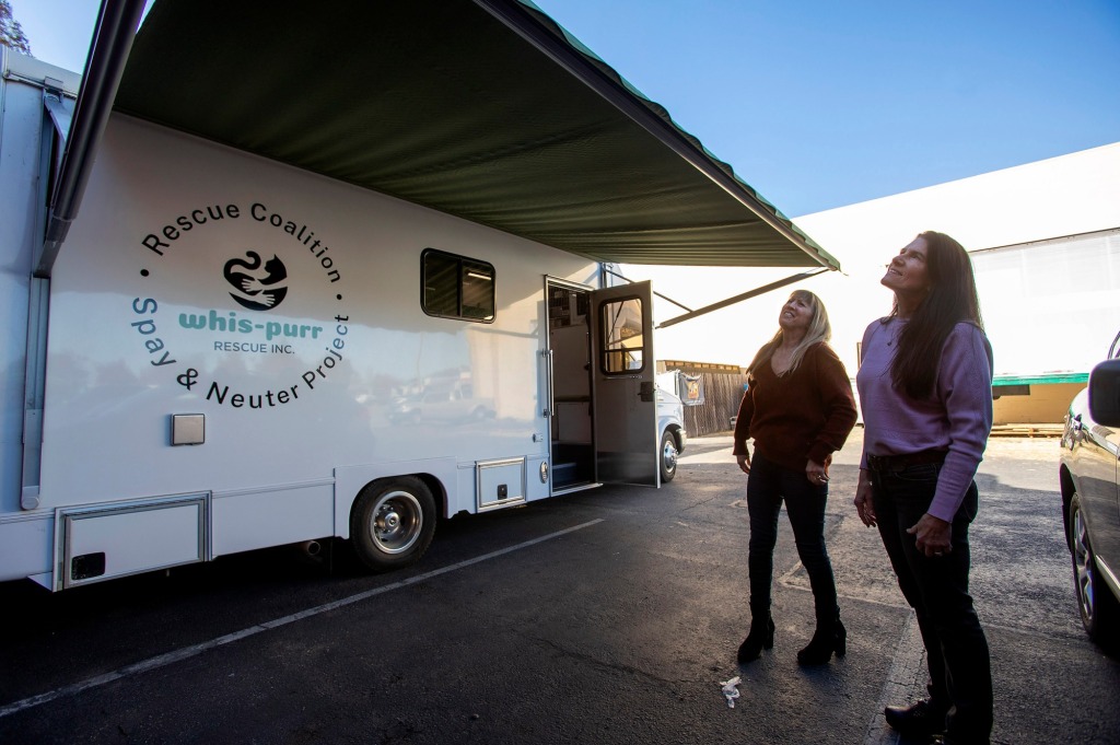 Bay Area rescue group buys van to perform spay-neuter surgeries on cats